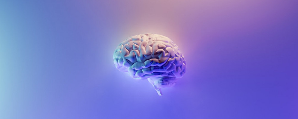 human brain against purple background